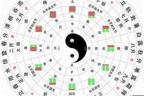 五行 甲木|甲木是什么命格,甲木五行属性与性格详解